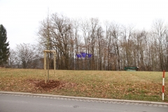 01 Blick Anliegerstr. zur Bst